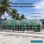 Modular greenhouse anaerobic digestion biogas system in tropical farm, palm and livestock waste treatment